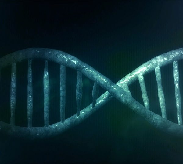 Dna