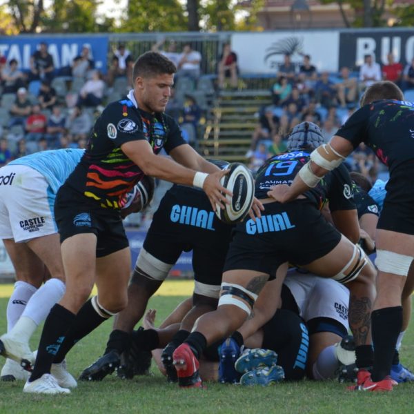 Rugby Zebre Club, Violi rinnova e prenota il rientro in campo