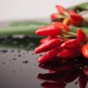 Capsaicina, dal peperoncino un'arma contro il tumore al polmone?